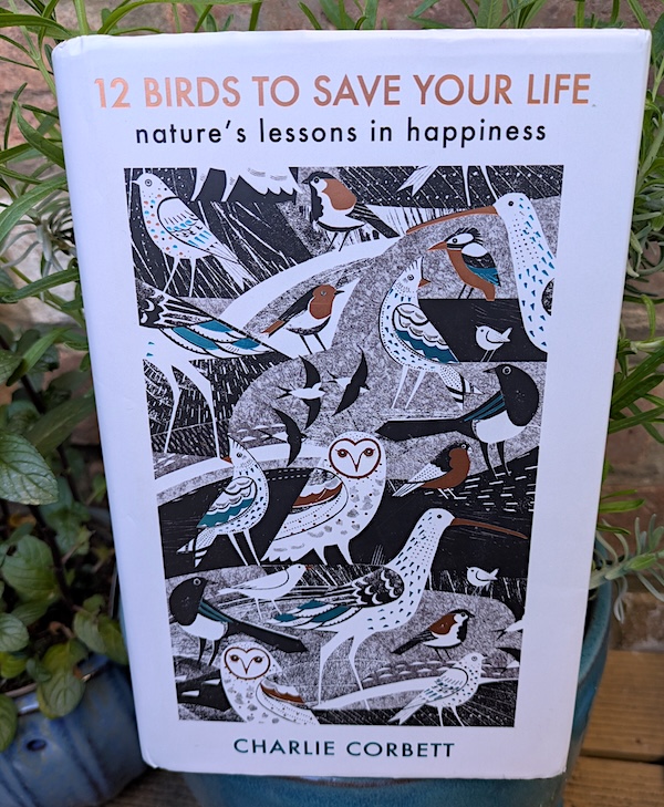 12 birds book for newsletter