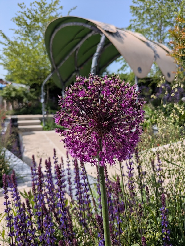 Chelsea Flower show - 1
