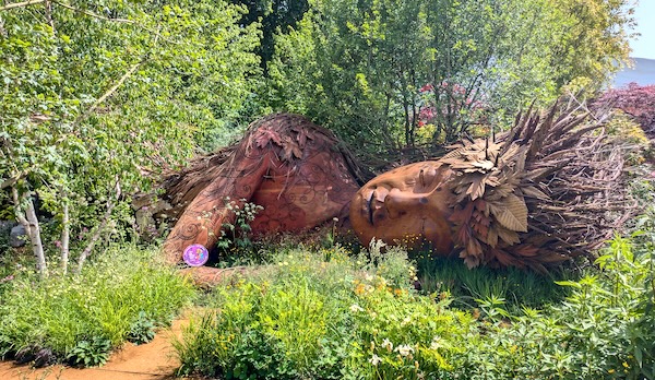 Chelsea flower show 4