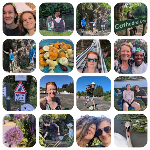 Half term break collage