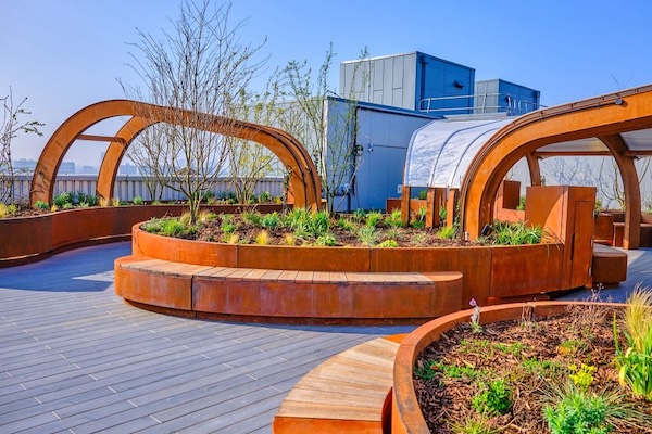 Rooftop garden at Kings College hospital