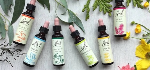 Bach Flower remedies for newsletter copy