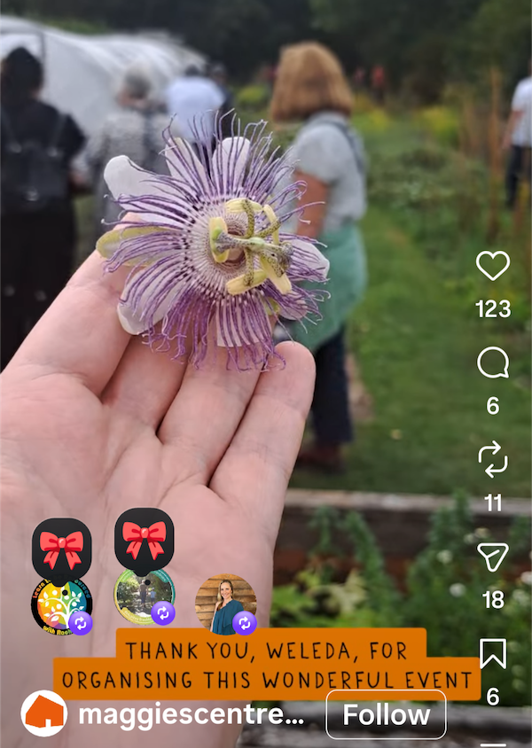 Screenshot_20260907-135847