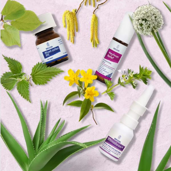 Seasonal wellness bundle image for newsletter